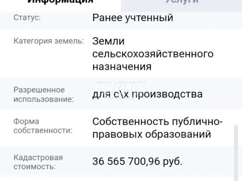 земельный участок 51 000 соток деревня Большая Свеча